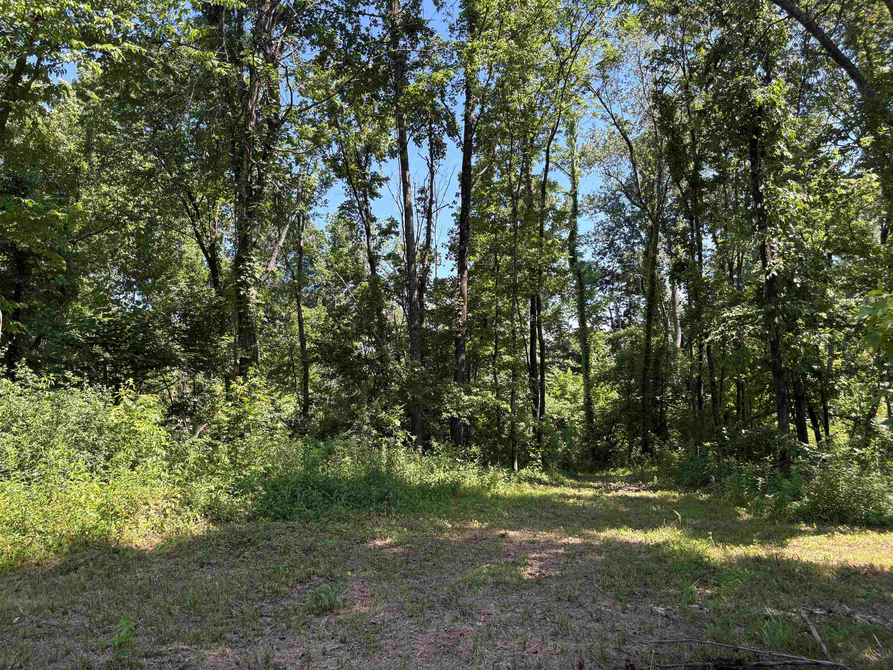 0 Walsh Road, Unit LOT 3 Millington, TN 38053 - Photo 8 of 12