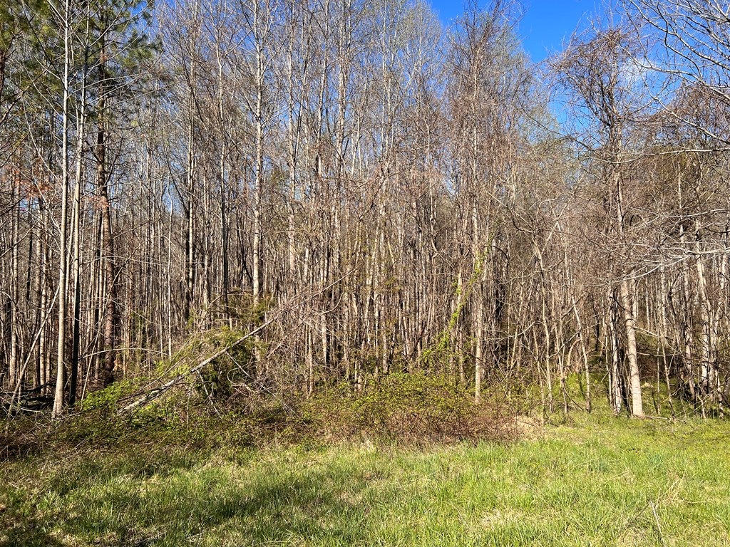 650 Bell Road, Unit 4 Dillwyn, VA 23936 - Photo 8 of 15 Gallery Image 8