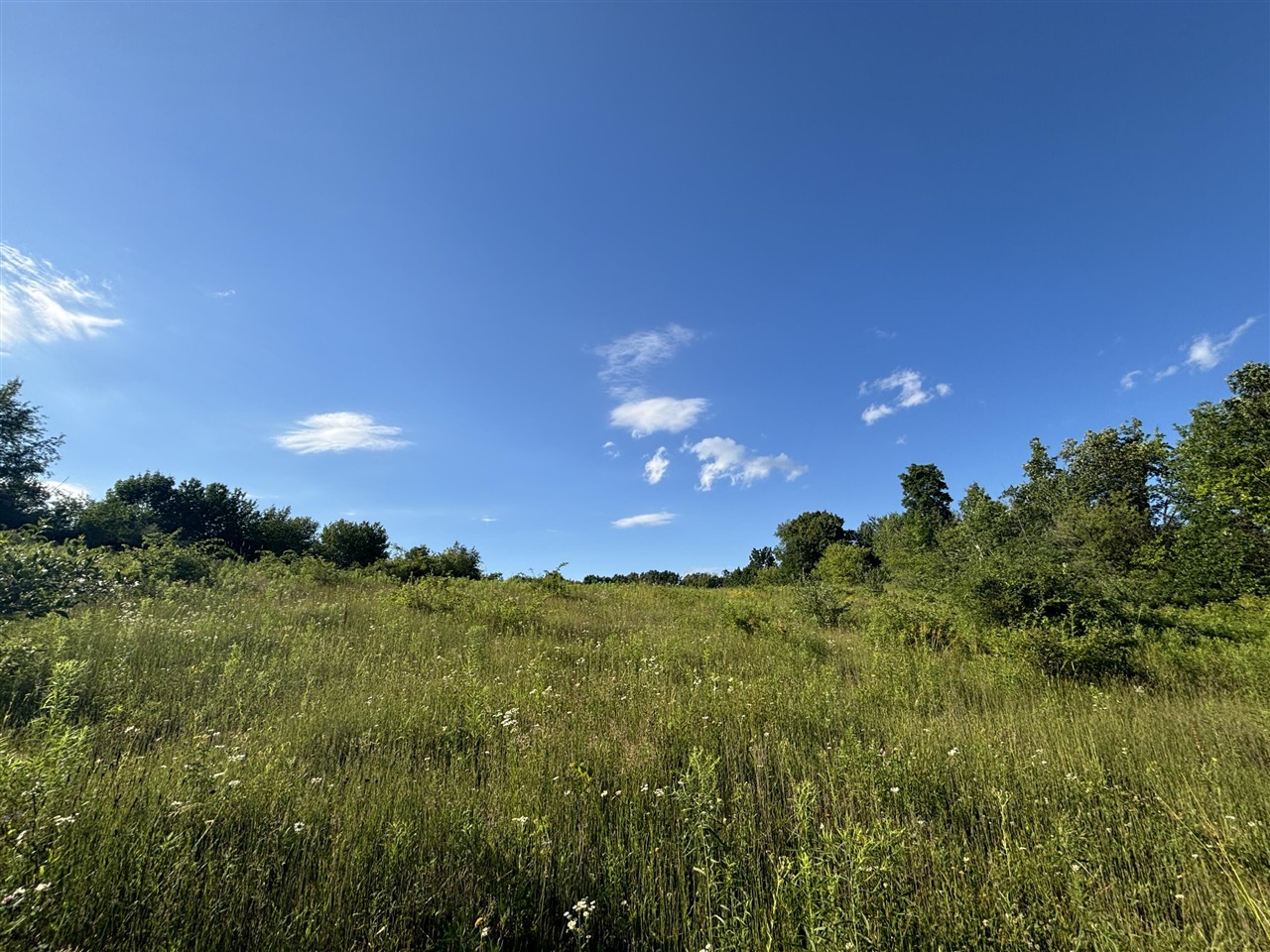 38.14 Northeast A Ne Hayes Road Comstock Park, MI 49321 - Photo 11 of 38