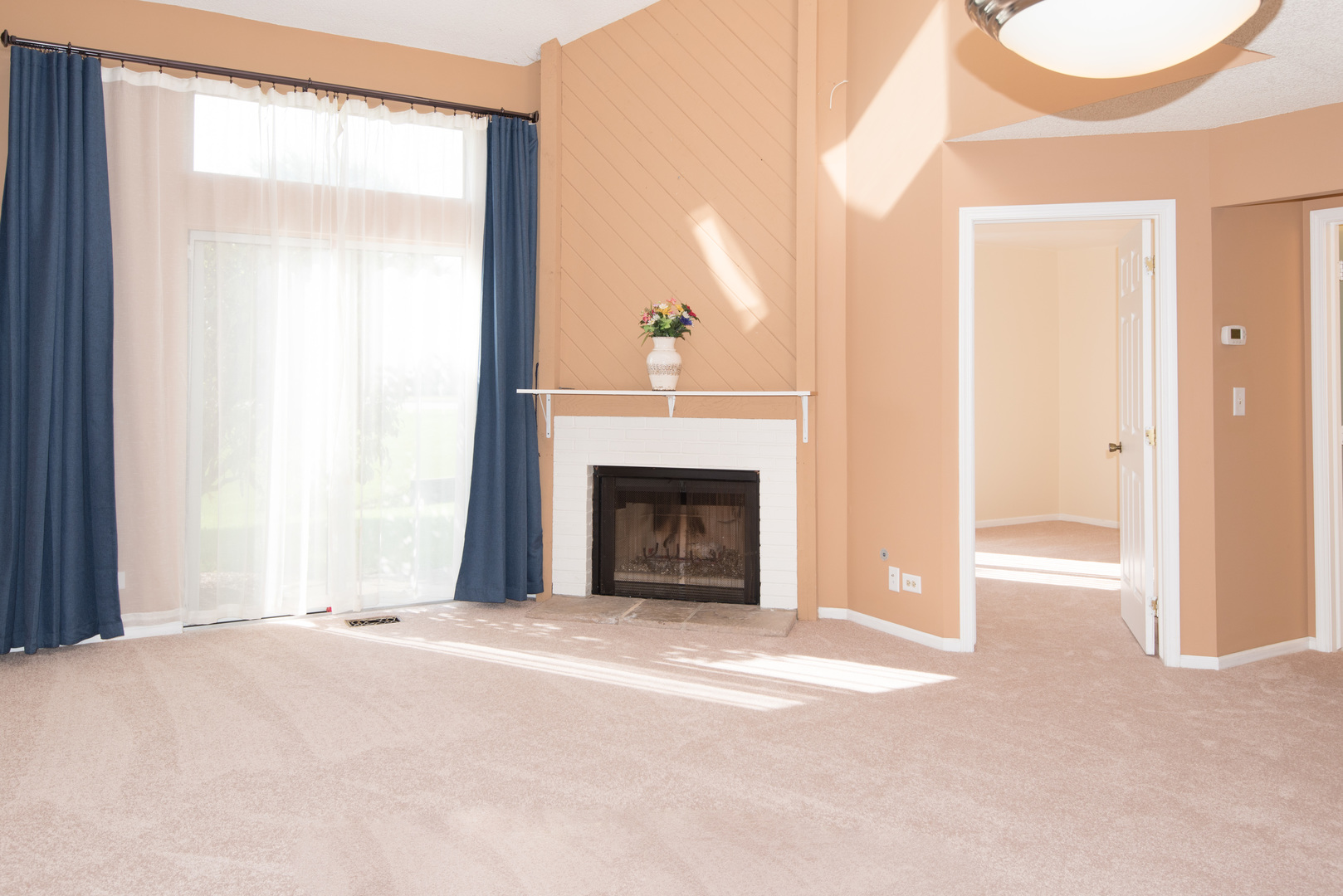 1201 Ranchview Court Buffalo Grove, IL 60089 - Photo 9 of 25 a view of a livingroom with a fireplace