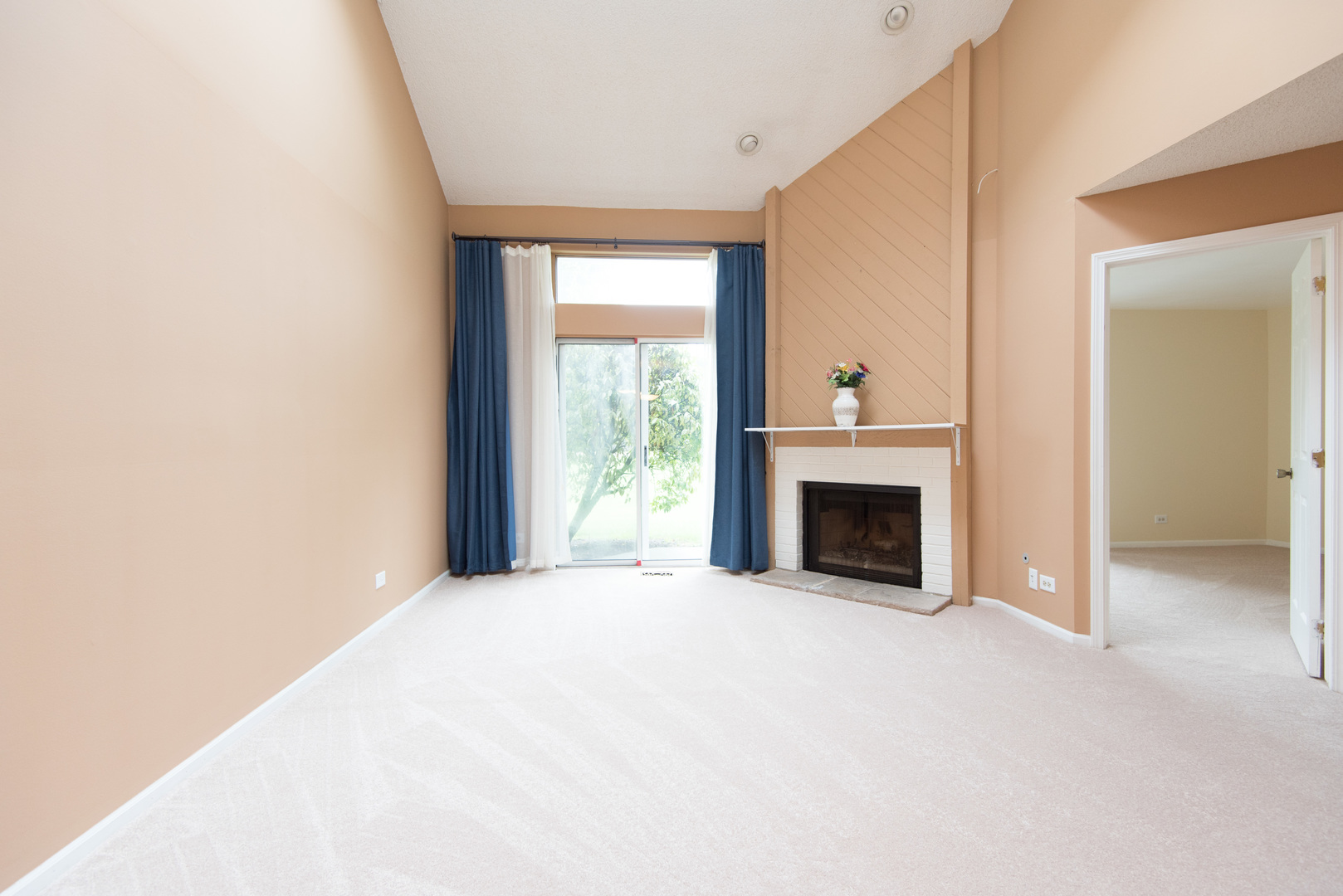 1201 Ranchview Court Buffalo Grove, IL 60089 - Photo 10 of 25 a view of an empty room with a fireplace and a window