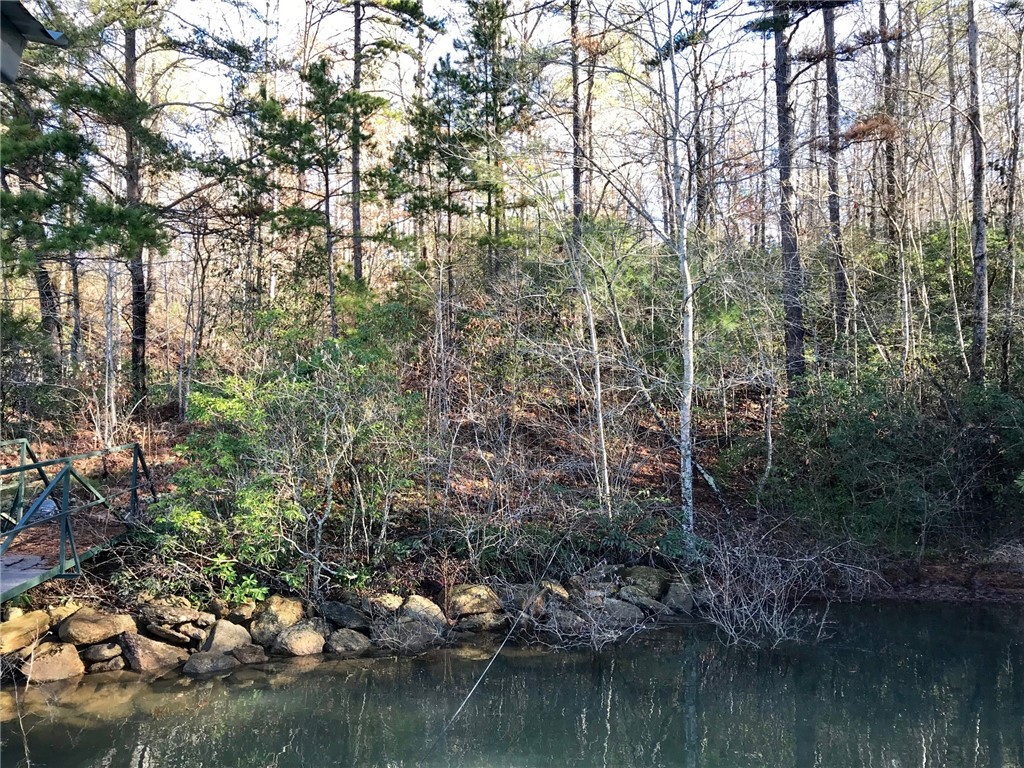 228 Jocassee Point Road Salem, SC 29676 - Photo 6 of 10 Gallery Image 6
