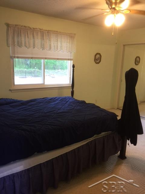 11114 Lange Road Birch Run, MI 48415 - Photo 8 of 21