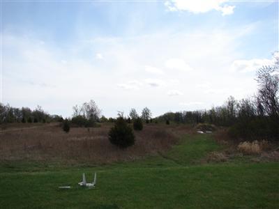 1001 Genesee Road Litchfield, MI 49252 - Photo 6 of 16 Additional Photo