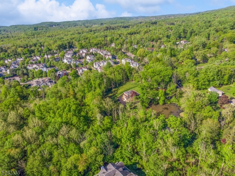 242 Lake Road Morristown, NJ 07960 - Photo 3 of 47 a view of a lush green field