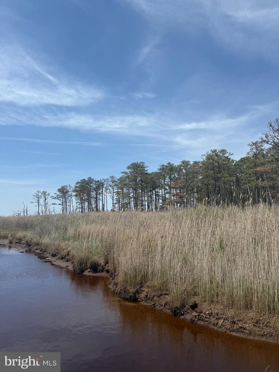 16 16-taylors Island Road Madison, MD 21648 - Photo 2 of 8