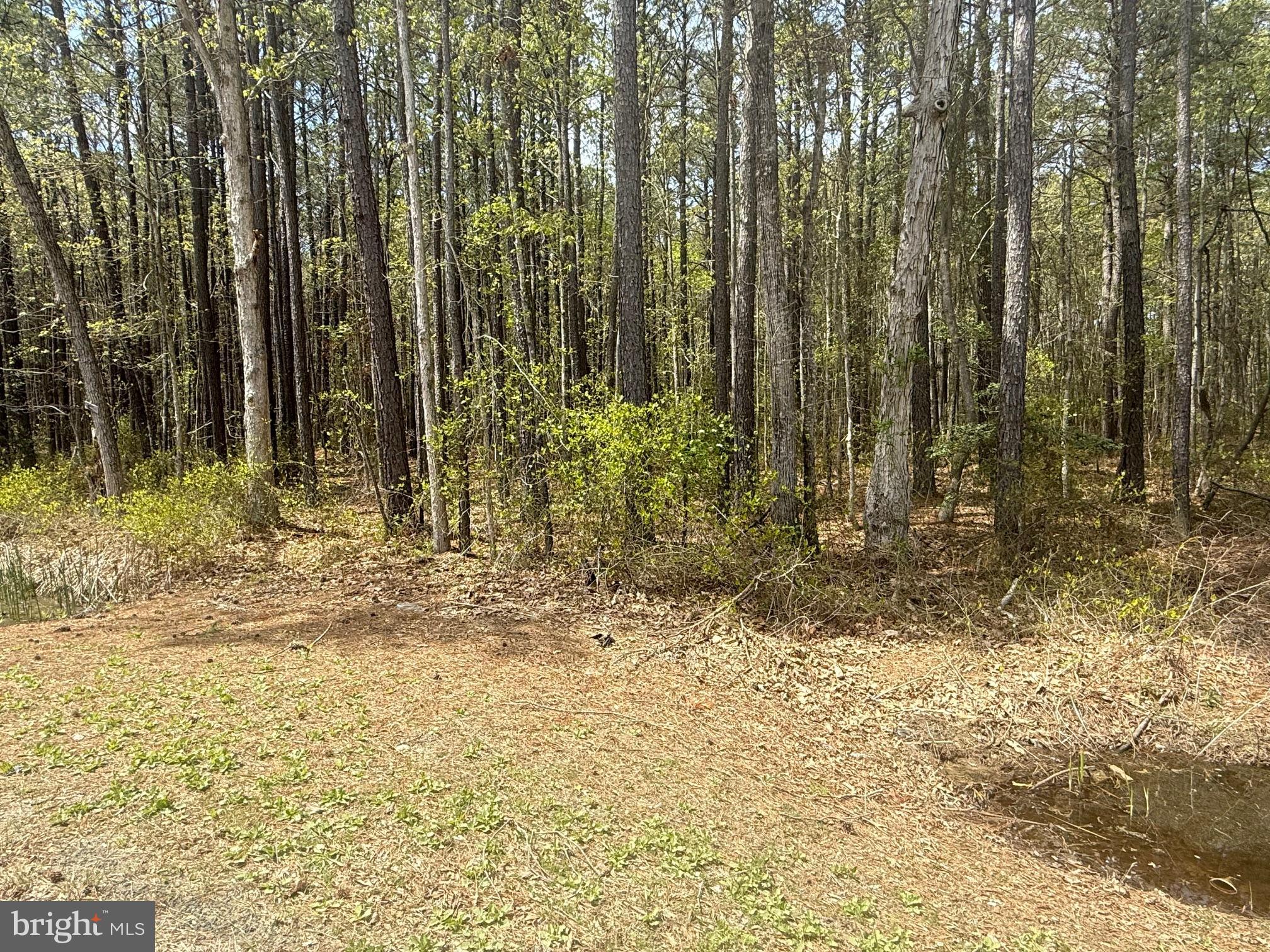 16 16-taylors Island Road Madison, MD 21648 - Photo 7 of 8