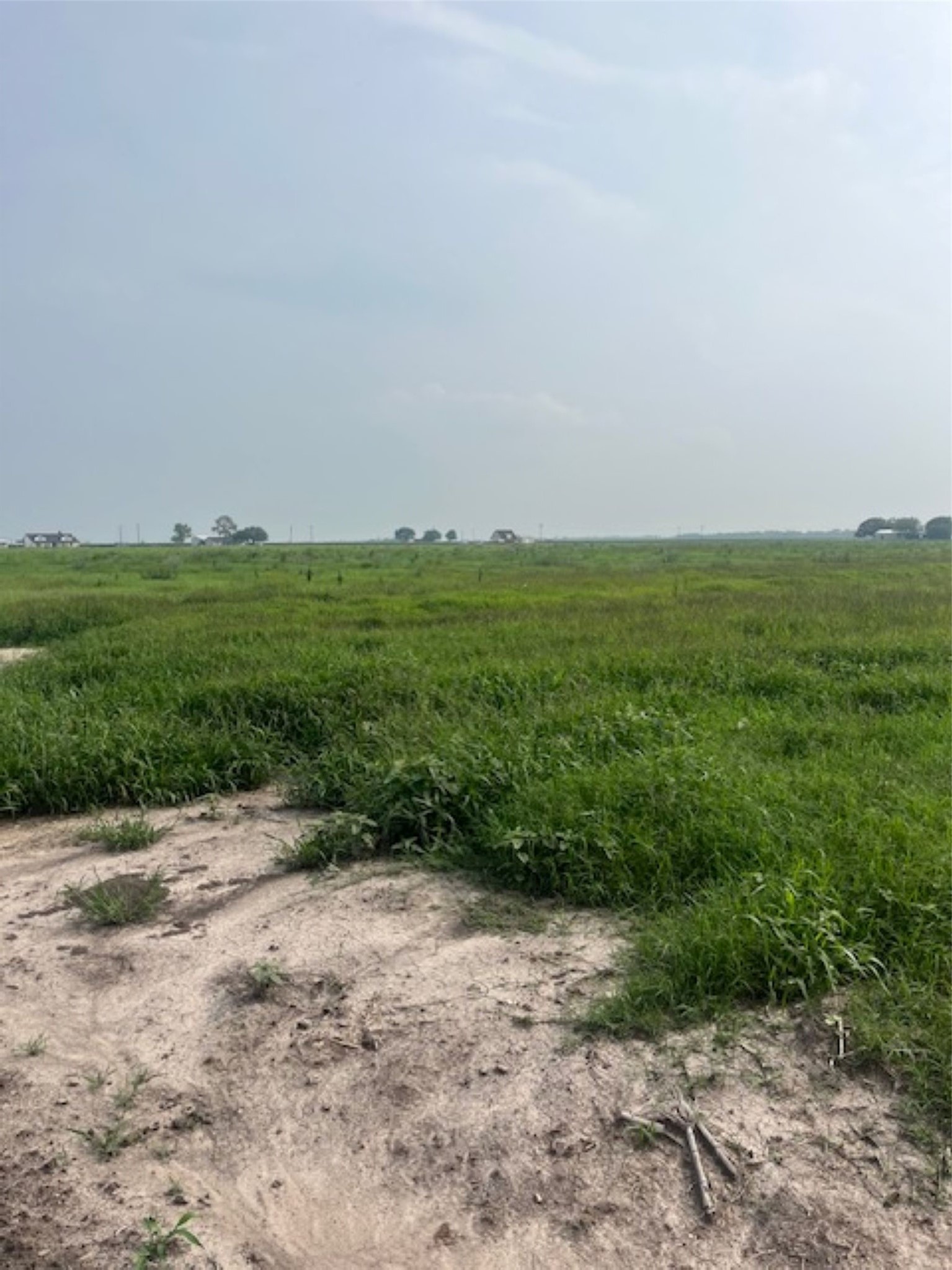 0 Gold Road Garwood, TX 77442 - Photo 4 of 20 a view of a field with grass and trees