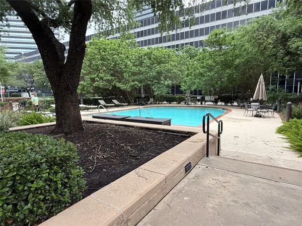 a view of a yard with large trees