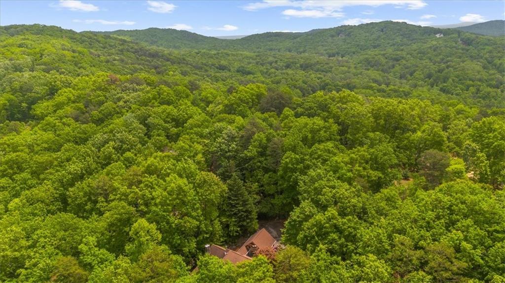 470 Sautee Ridge Road Clarkesville, GA 30523 - Photo 37 of 37 a view of a mountain range with lush green forest