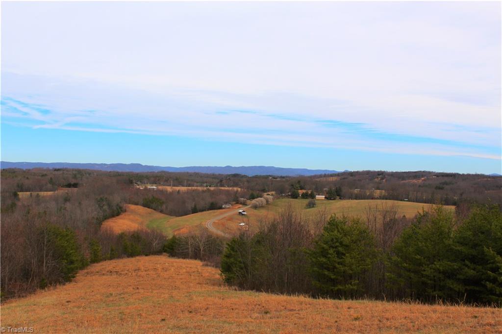 485 Slate Mountain Road Mount Airy, NC 27030 - Photo 15 of 26 Gallery Image 15