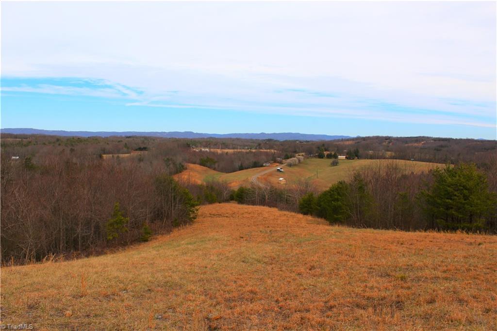 485 Slate Mountain Road Mount Airy, NC 27030 - Photo 17 of 26 Gallery Image 17