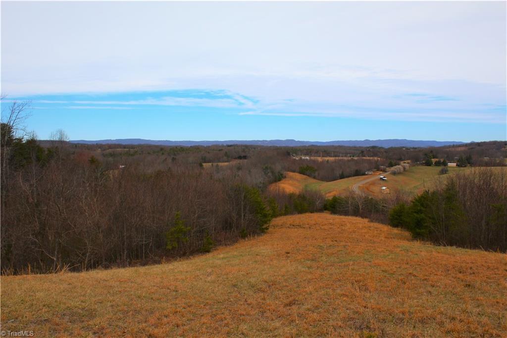 485 Slate Mountain Road Mount Airy, NC 27030 - Photo 18 of 26 Gallery Image 18