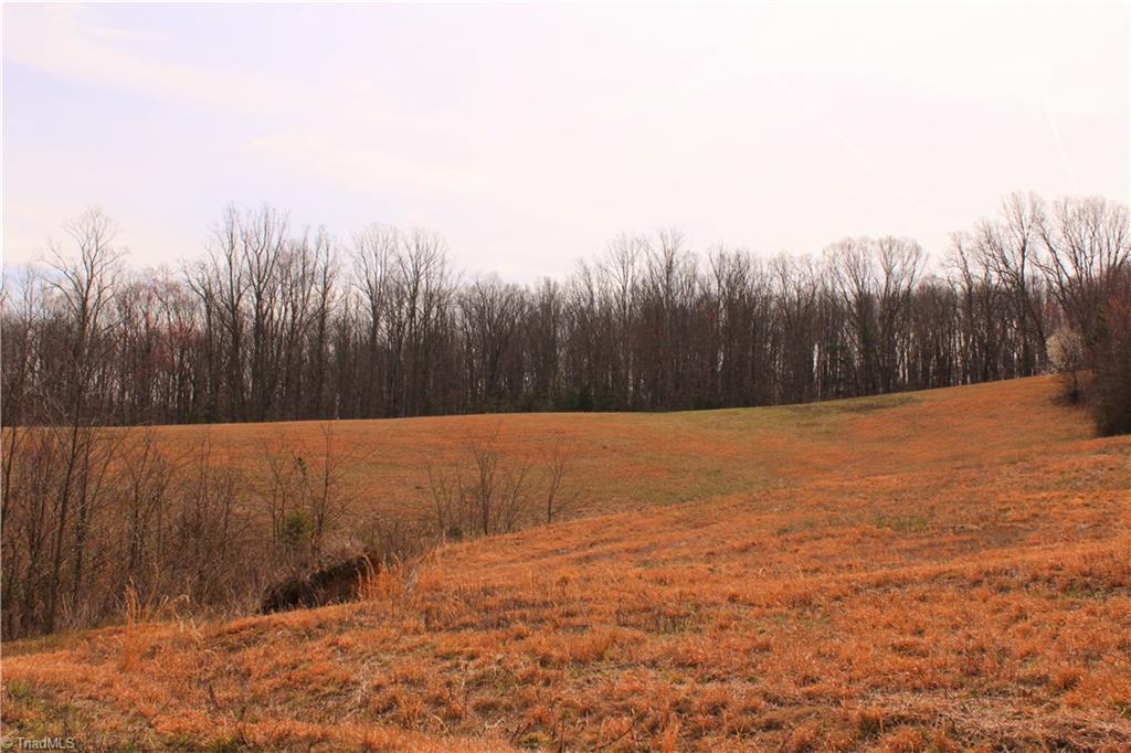 485 Slate Mountain Road Mount Airy, NC 27030 - Photo 22 of 26 Gallery Image 22