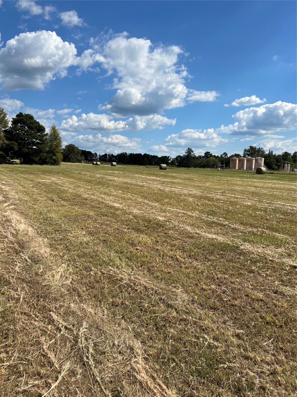 0 Acie Rhodes Road Marshall, TX 75672 - Photo 11 of 13