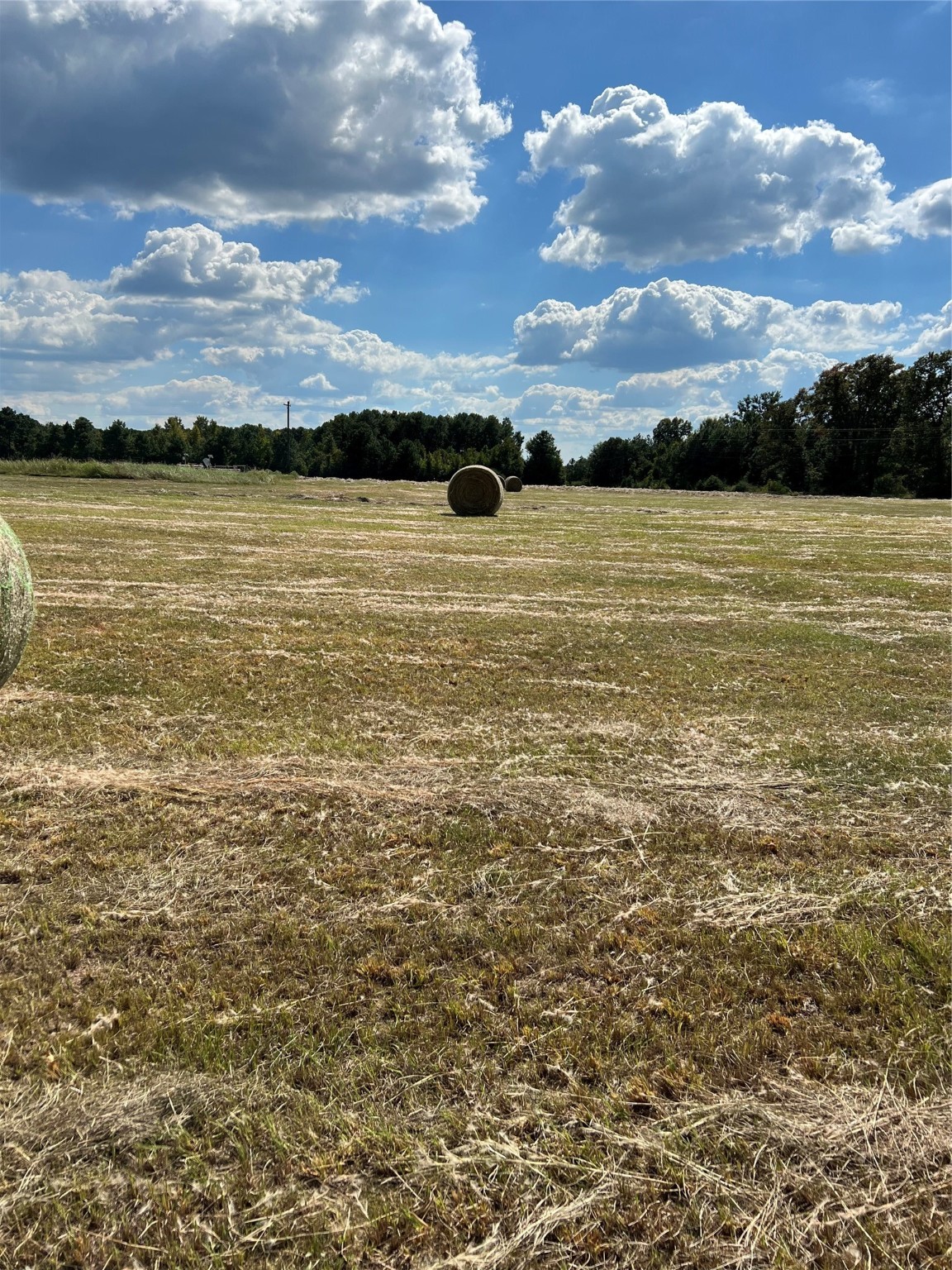 0 Acie Rhodes Road Marshall, TX 75672 - Photo 12 of 13