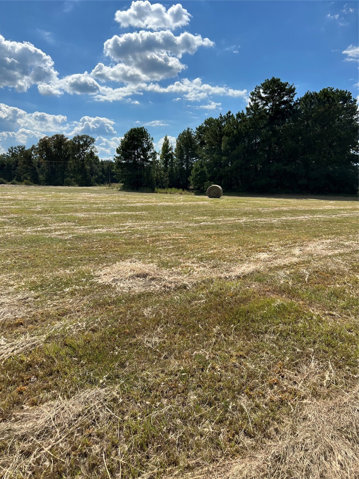 0 Acie Rhodes Road Marshall, TX 75672 - Photo 2 of 13