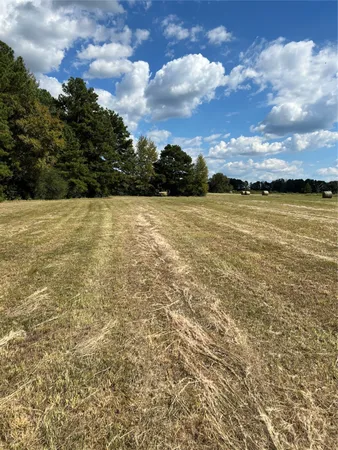 $1,200,000 | 0 Acie Rhodes Road, Marshall, TX 75672