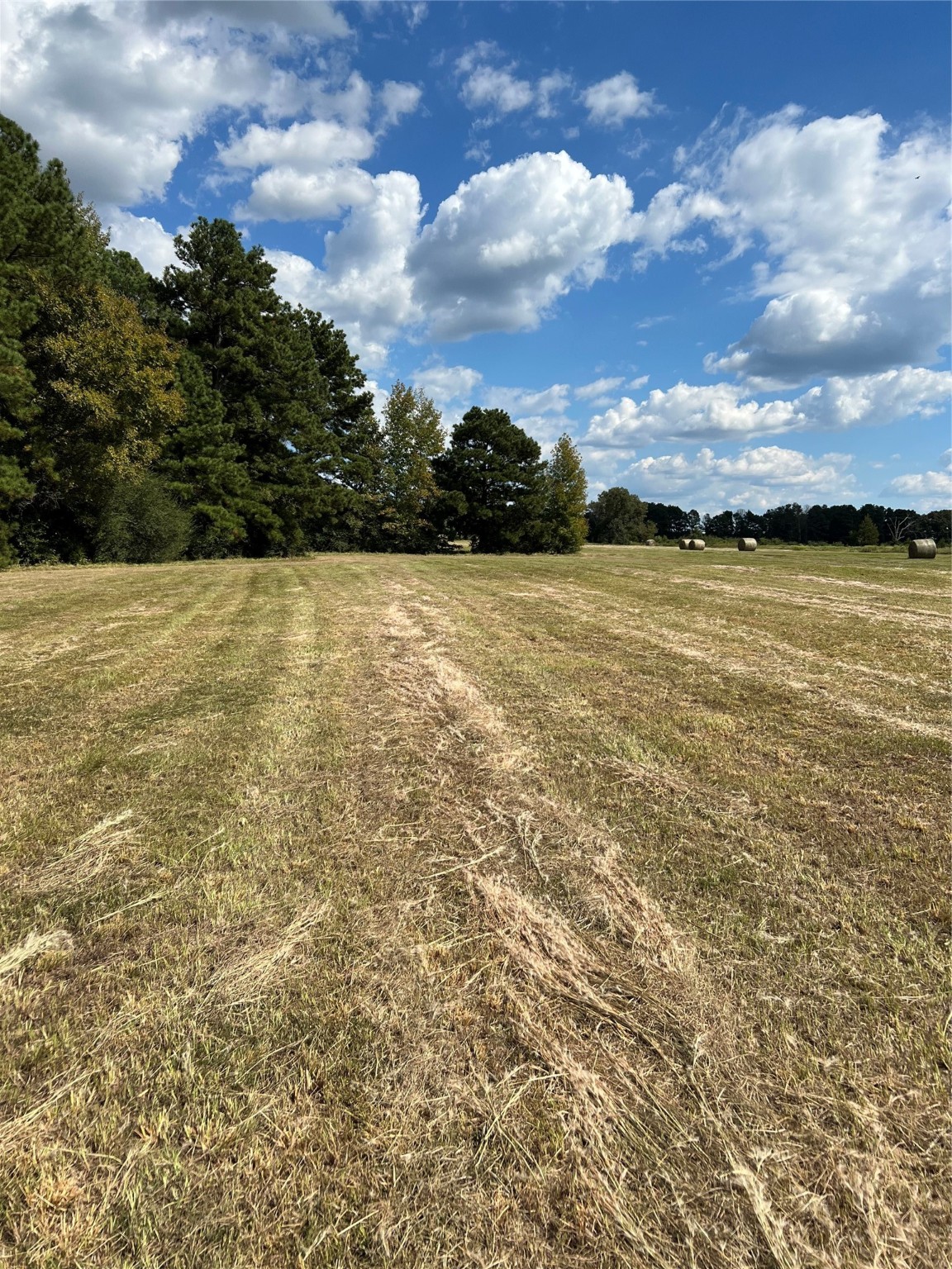 0 Acie Rhodes Road Marshall, TX 75672 - Photo 3 of 13