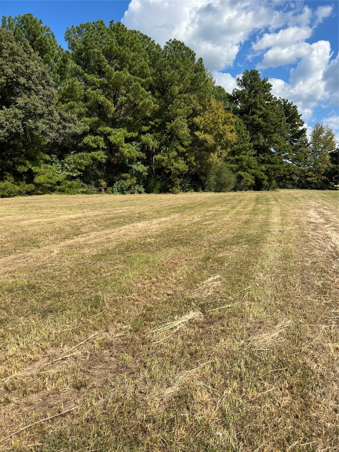 0 Acie Rhodes Road Marshall, TX 75672 - Photo 4 of 13