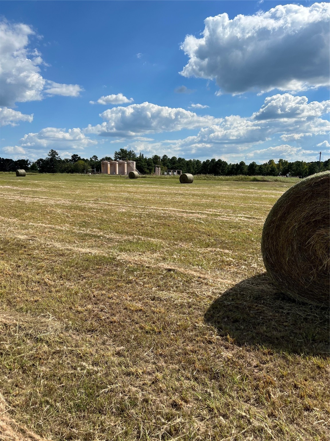 0 Acie Rhodes Road Marshall, TX 75672 - Photo 7 of 13
