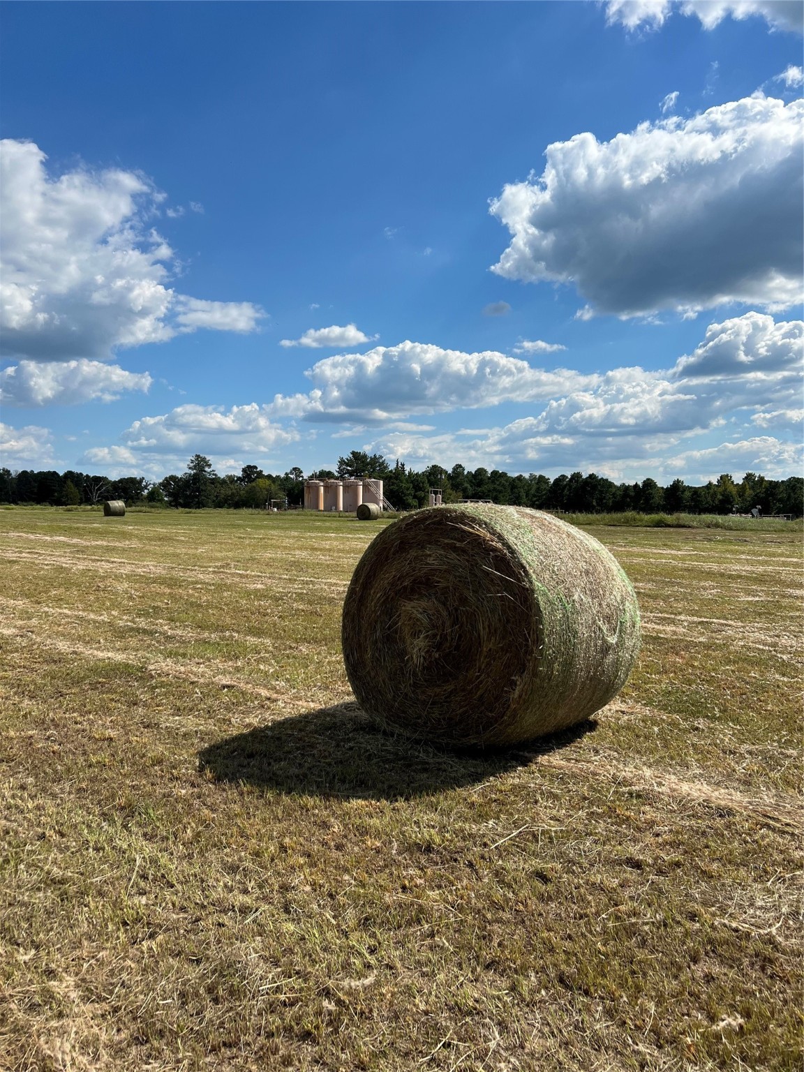0 Acie Rhodes Road Marshall, TX 75672 - Photo 9 of 13