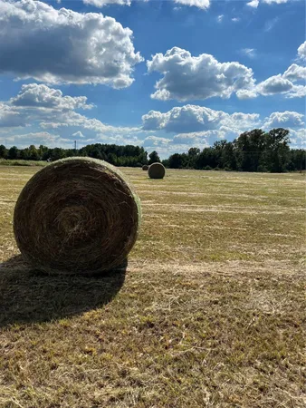 $1,200,000 | 0 Acie Rhodes Road, Marshall, TX 75672