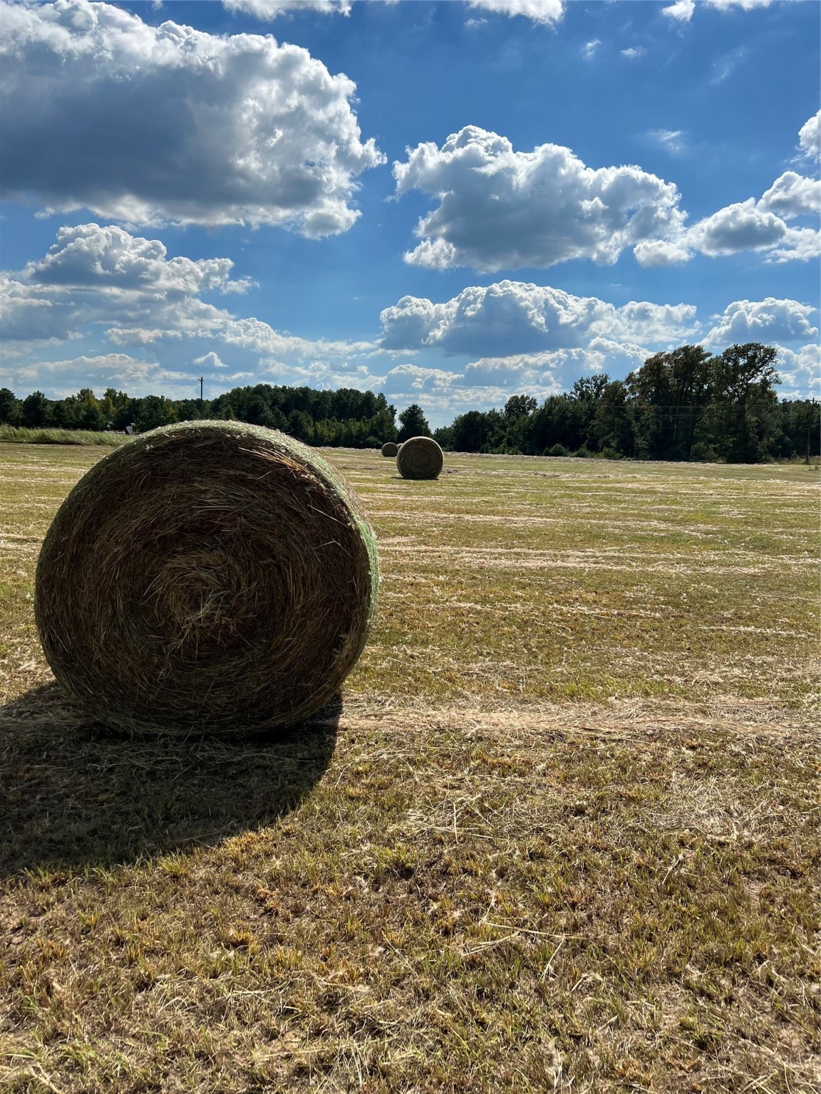 0 Acie Rhodes Road Marshall, TX 75672 - Photo 10 of 13