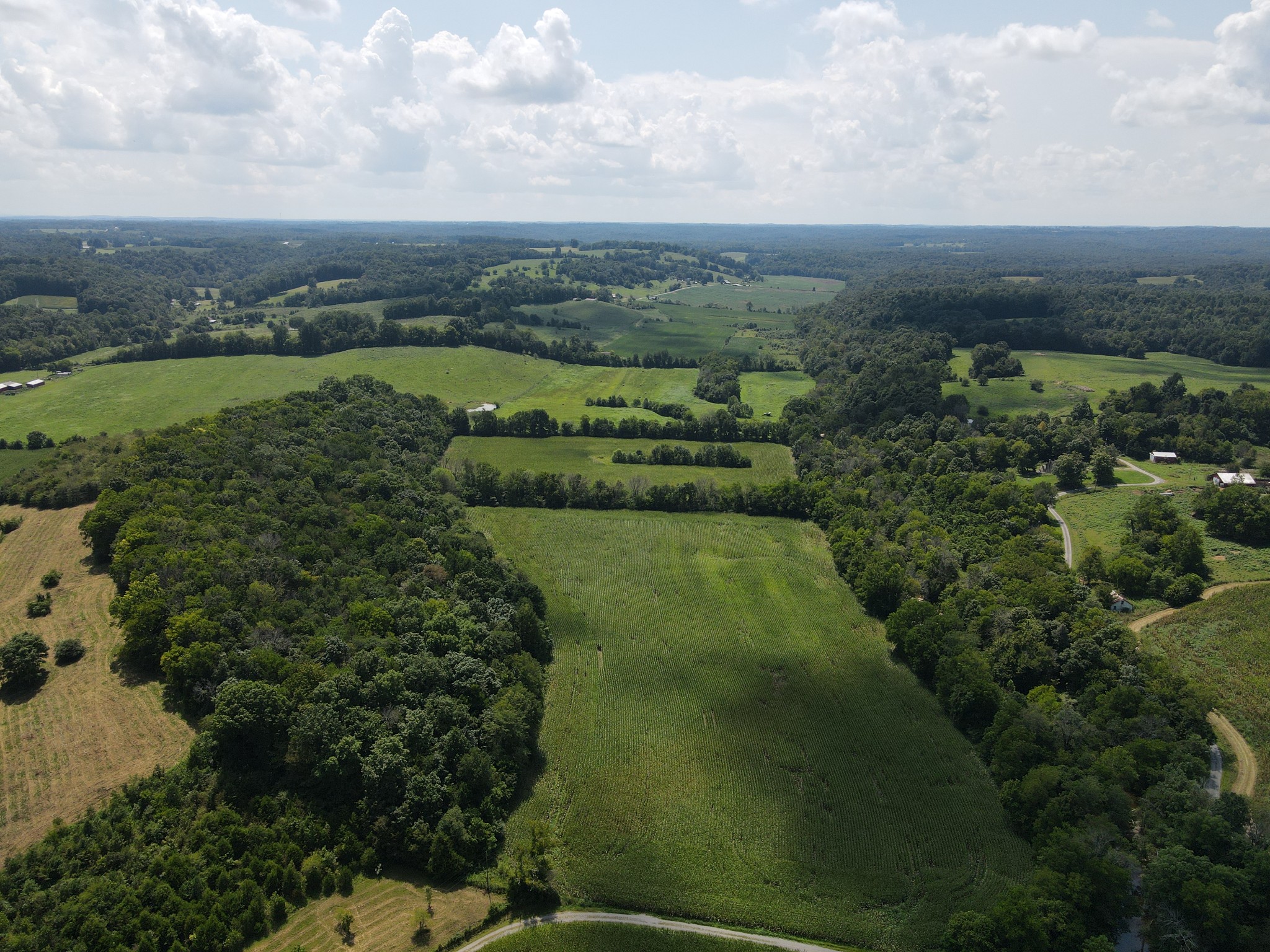 0 Weasel Branch Road Columbia, KY 42728 - Photo 4 of 11 Gallery Image 4