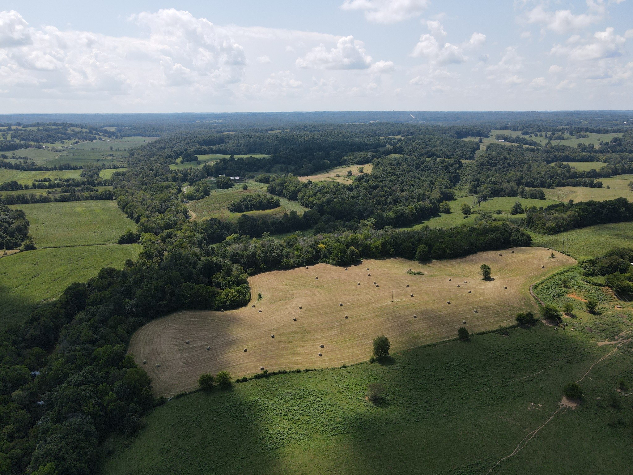 0 Weasel Branch Road Columbia, KY 42728 - Photo 5 of 11 Gallery Image 5