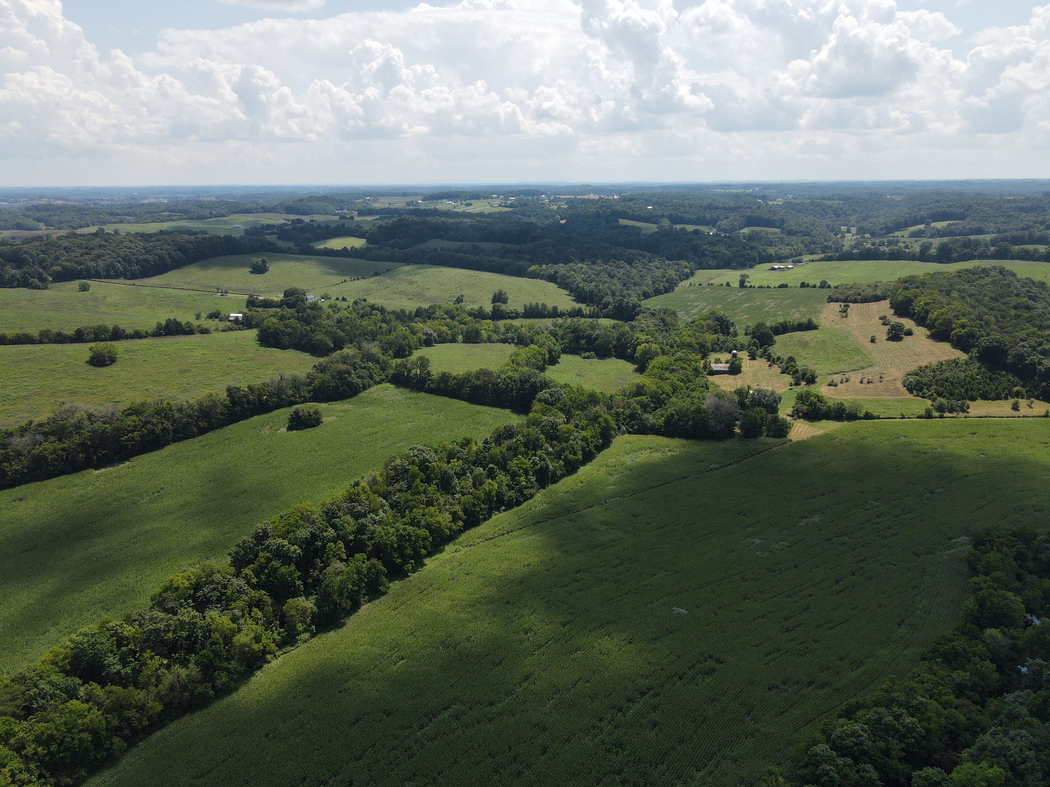 0 Weasel Branch Road Columbia, KY 42728 - Photo 6 of 11 Gallery Image 6