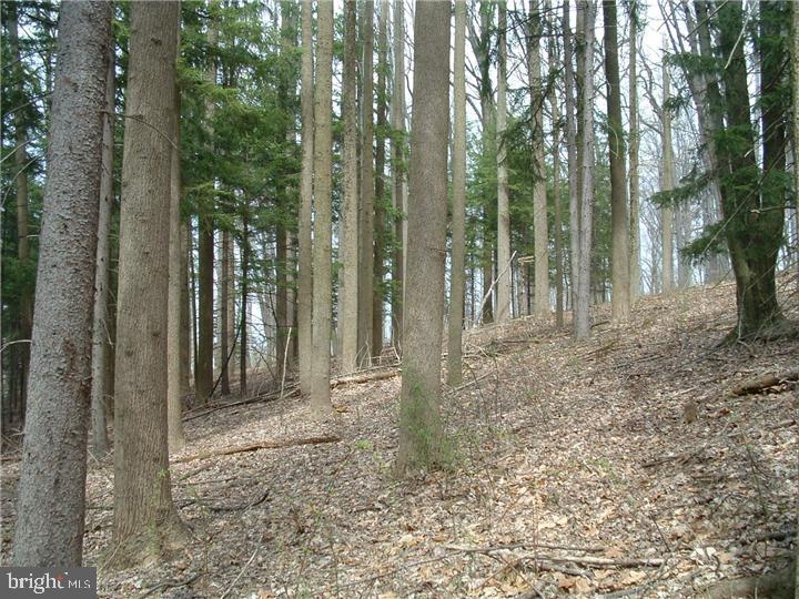 3042 Merlin Road Chester Springs, PA 19425 - Photo 11 of 12 Gallery Image 11