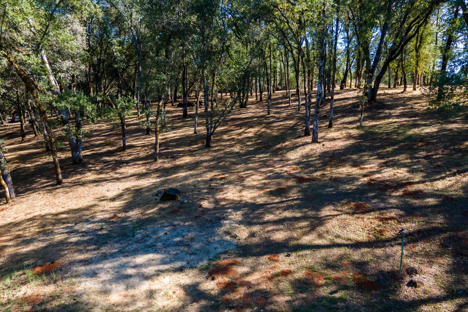 3300 Ponderosa Road Shingle Springs, CA 95682 - Photo 43 of 44