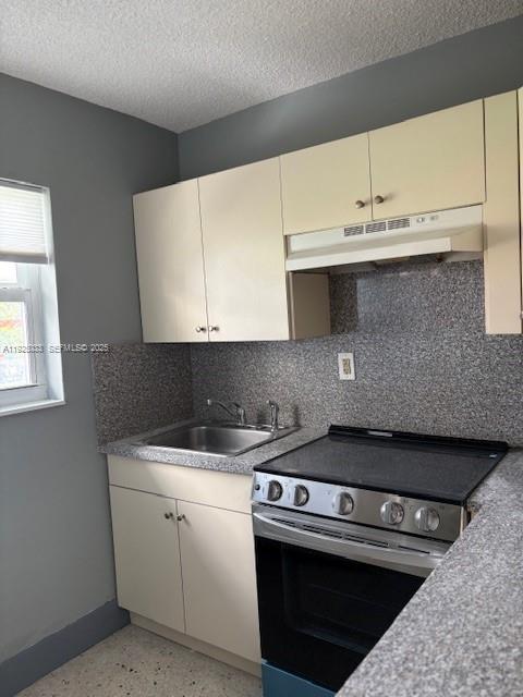 828 Southwest 20th Avenue, Unit 7 Miami, FL 33135 - Photo 10 of 13 a kitchen with a stove and a sink