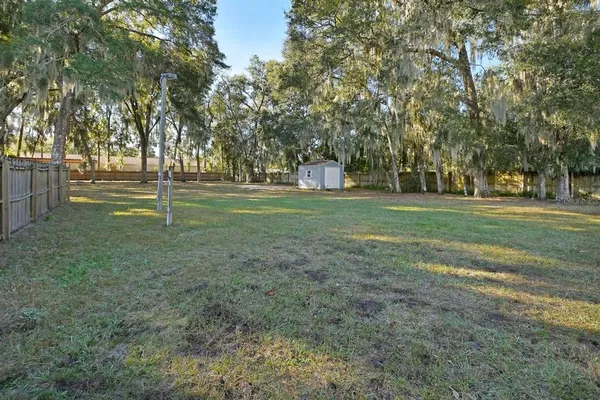 a view of a park with large trees