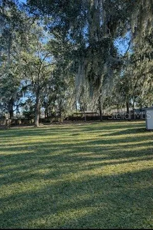 a view of a park with large trees