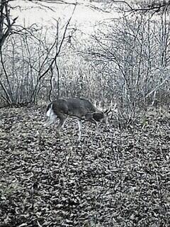 17 17 Mile Road Rodney, MI 49342 - Photo 33 of 36 BW