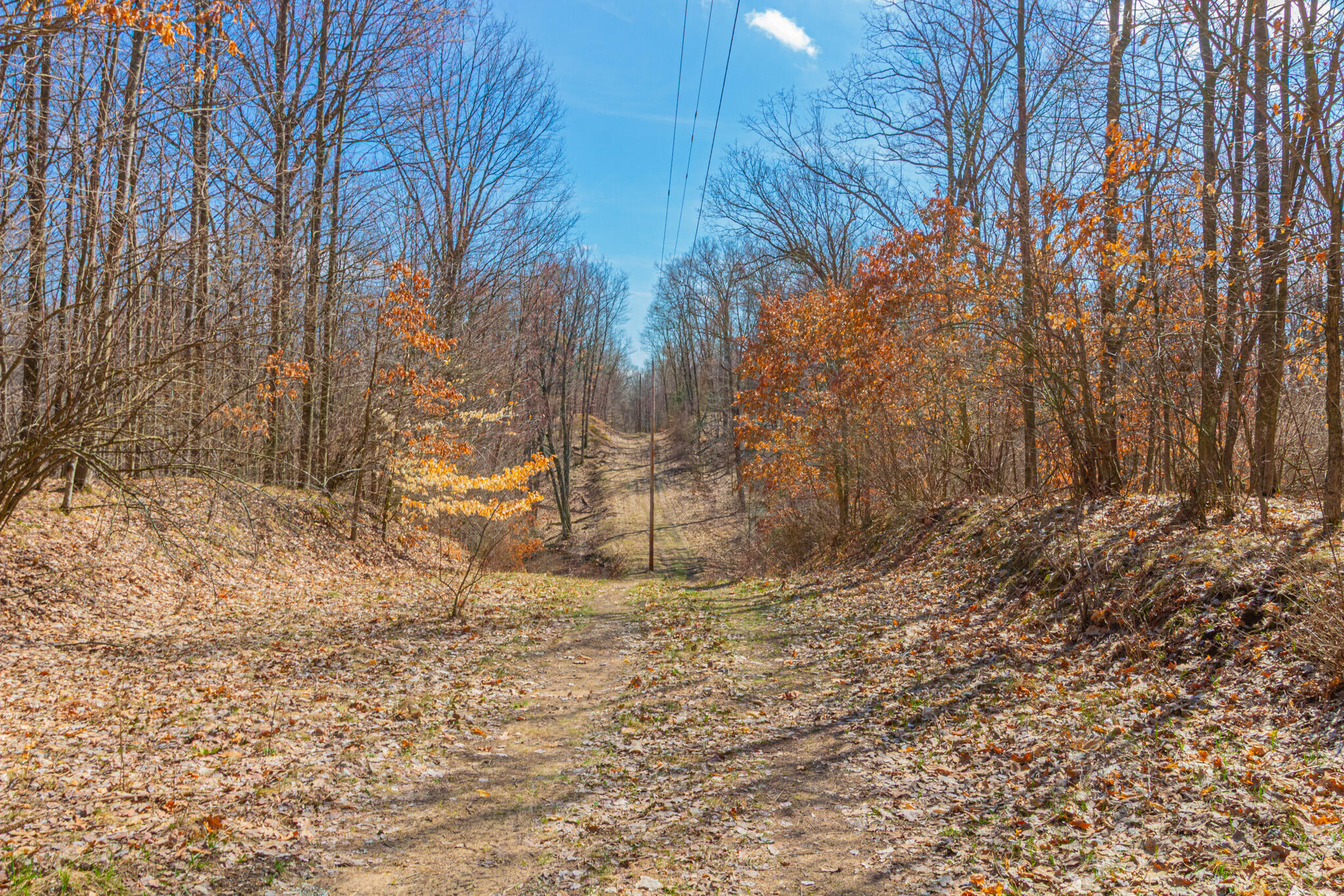 17 17 Mile Road Rodney, MI 49342 - Photo 5 of 36 IMG_1514