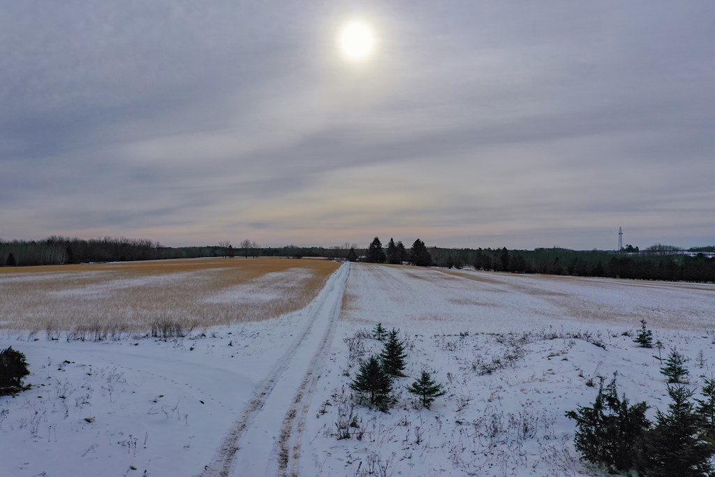 Forest Road Sturgeon Bay, WI 54235 - Photo 5 of 6