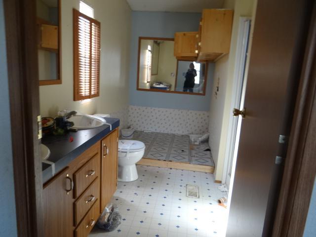 35475 Loves Mill Road Glade Spring, VA 24340 - Photo 6 of 8 a bathroom with a sink a toilet a mirror and shower