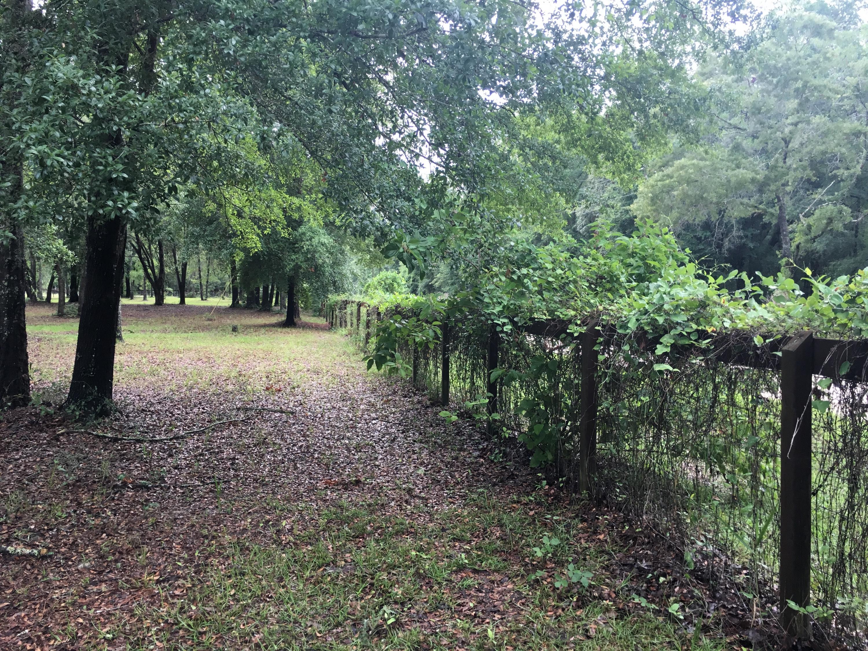 19848 33rd Road Wellborn, FL 32094 - Photo 11 of 38 Completely Fenced - 4 Acres