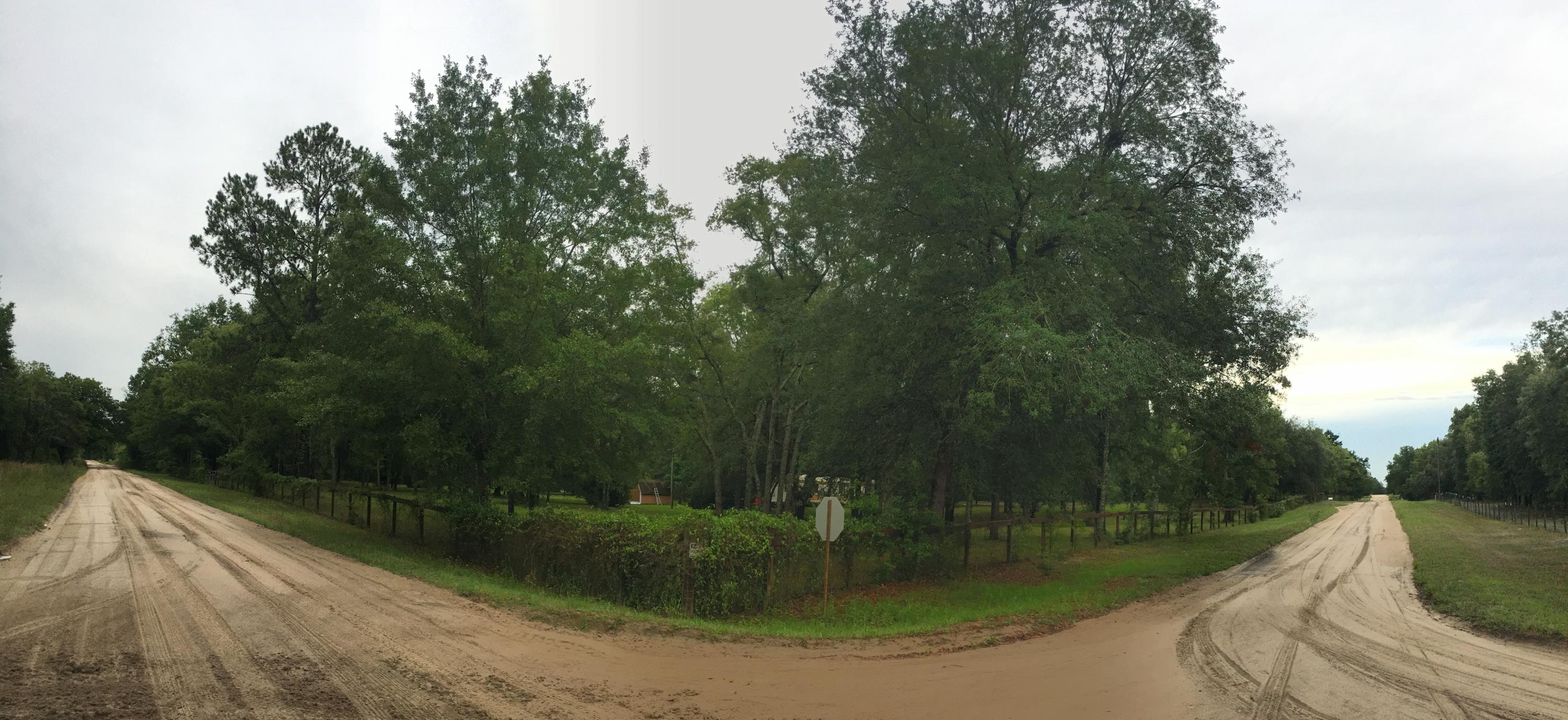 19848 33rd Road Wellborn, FL 32094 - Photo 12 of 38 Corner Lot