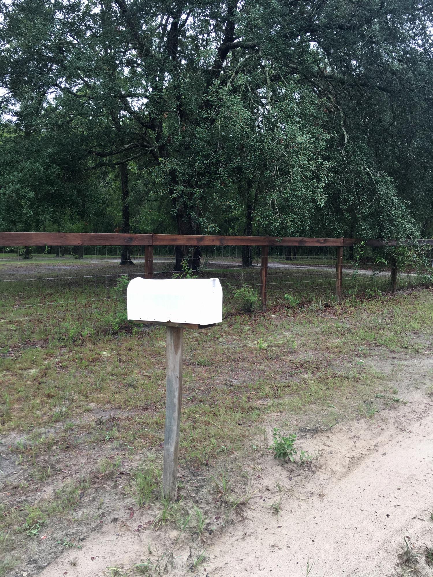 19848 33rd Road Wellborn, FL 32094 - Photo 21 of 38 Mailbox is Right Outside the Property