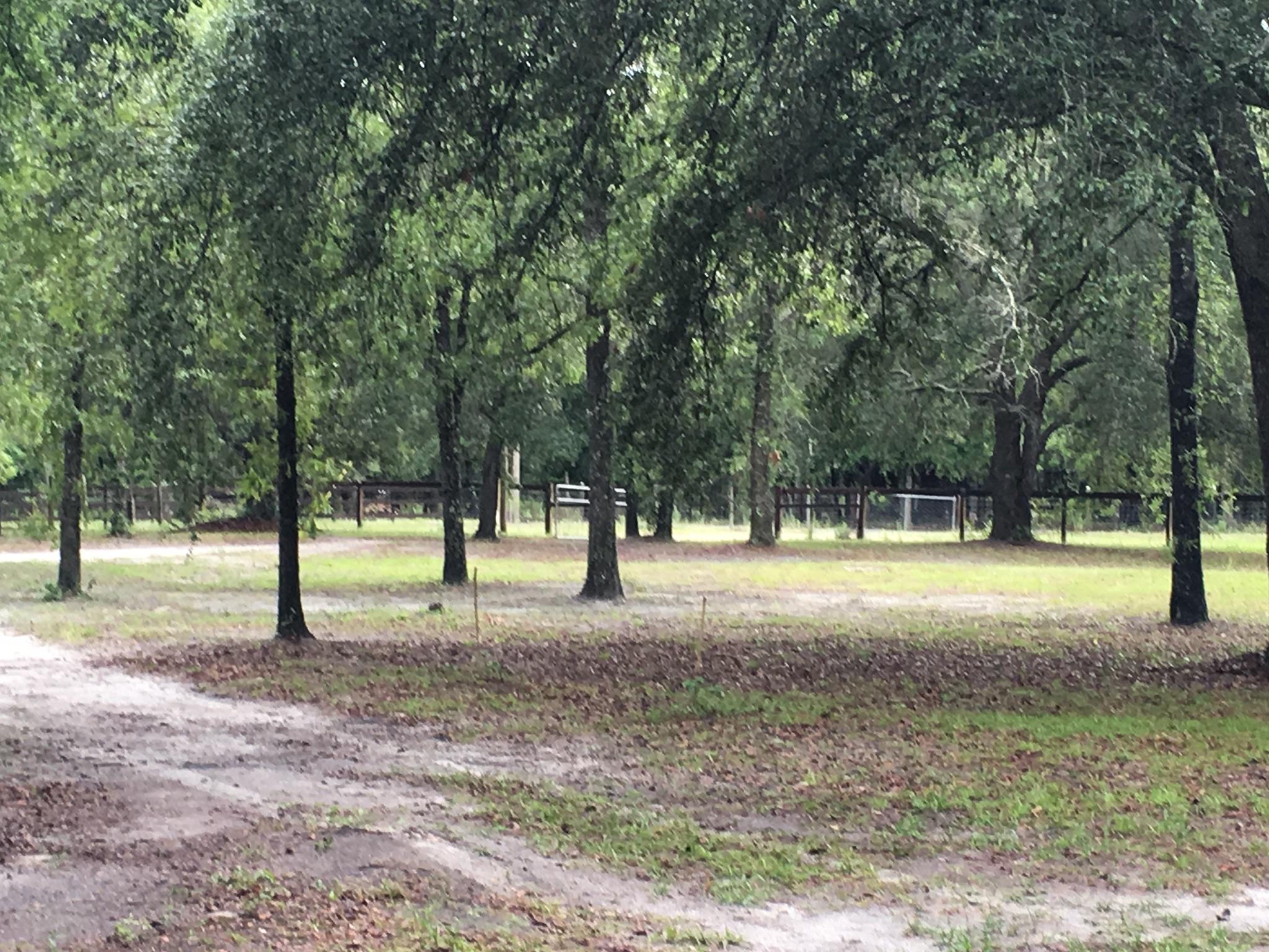 19848 33rd Road Wellborn, FL 32094 - Photo 31 of 38 Cleared Acres - Park Like Setting