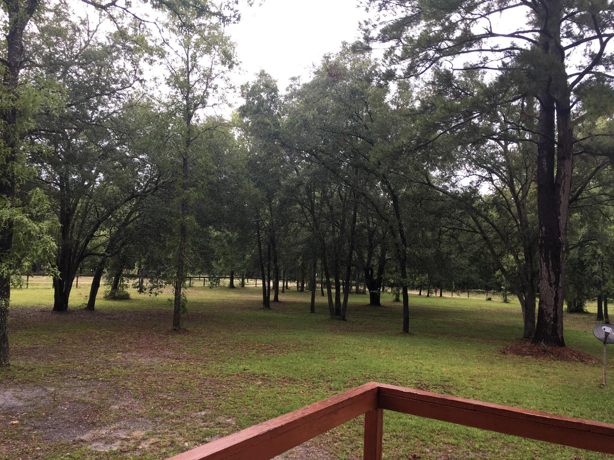19848 33rd Road Wellborn, FL 32094 - Photo 37 of 38 Park Like Setting - 4 Acres Cleared Lot