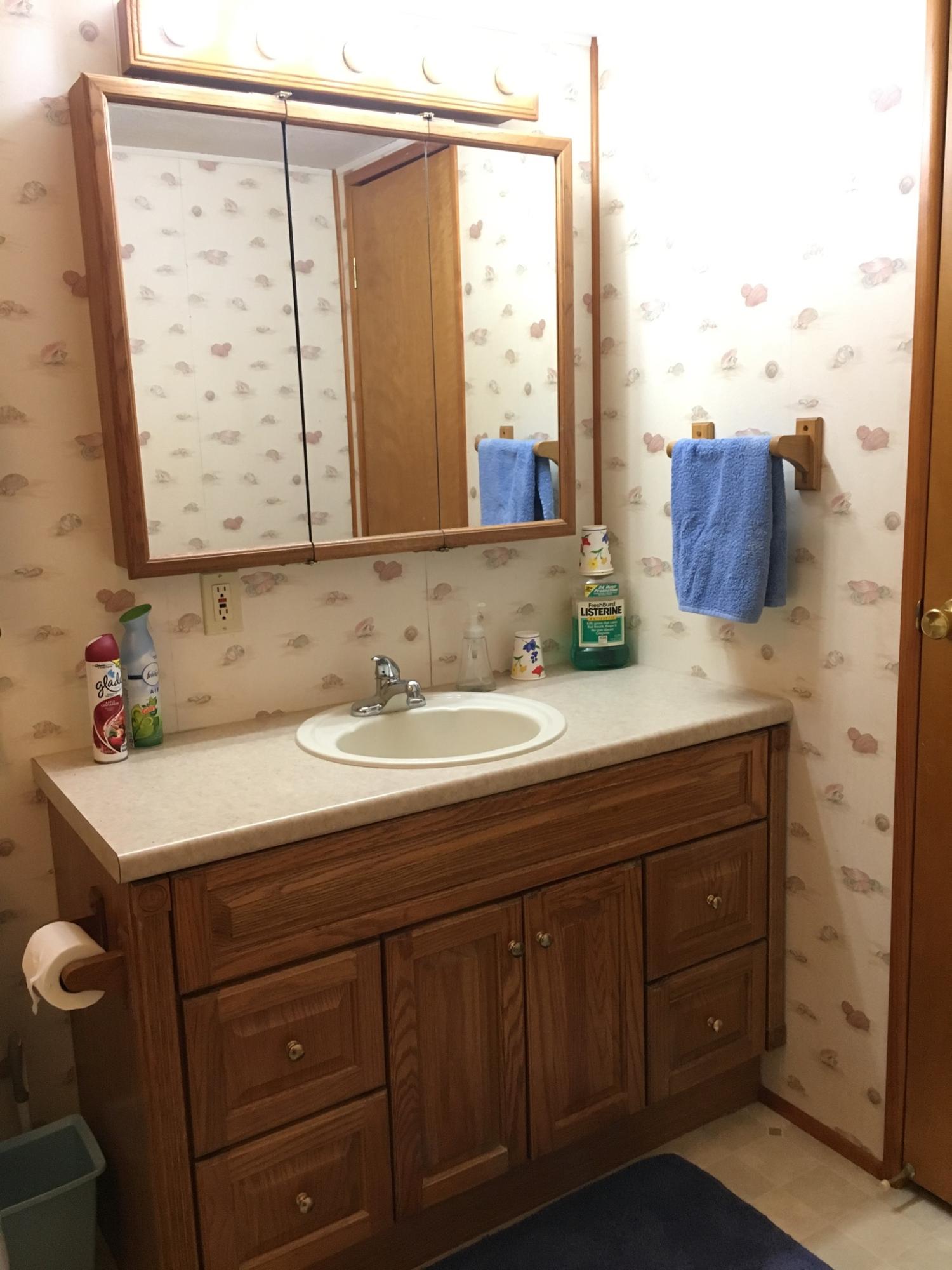 19848 33rd Road Wellborn, FL 32094 - Photo 9 of 38 Master Bathroom