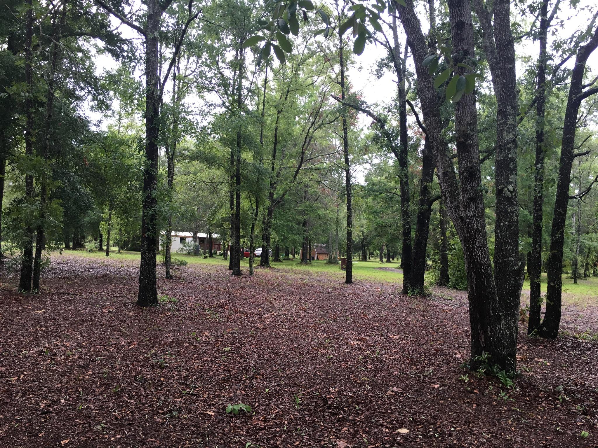 19848 33rd Road Wellborn, FL 32094 - Photo 10 of 38 4 Acres - Cleared Lot