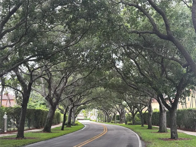a view of a yard with large trees