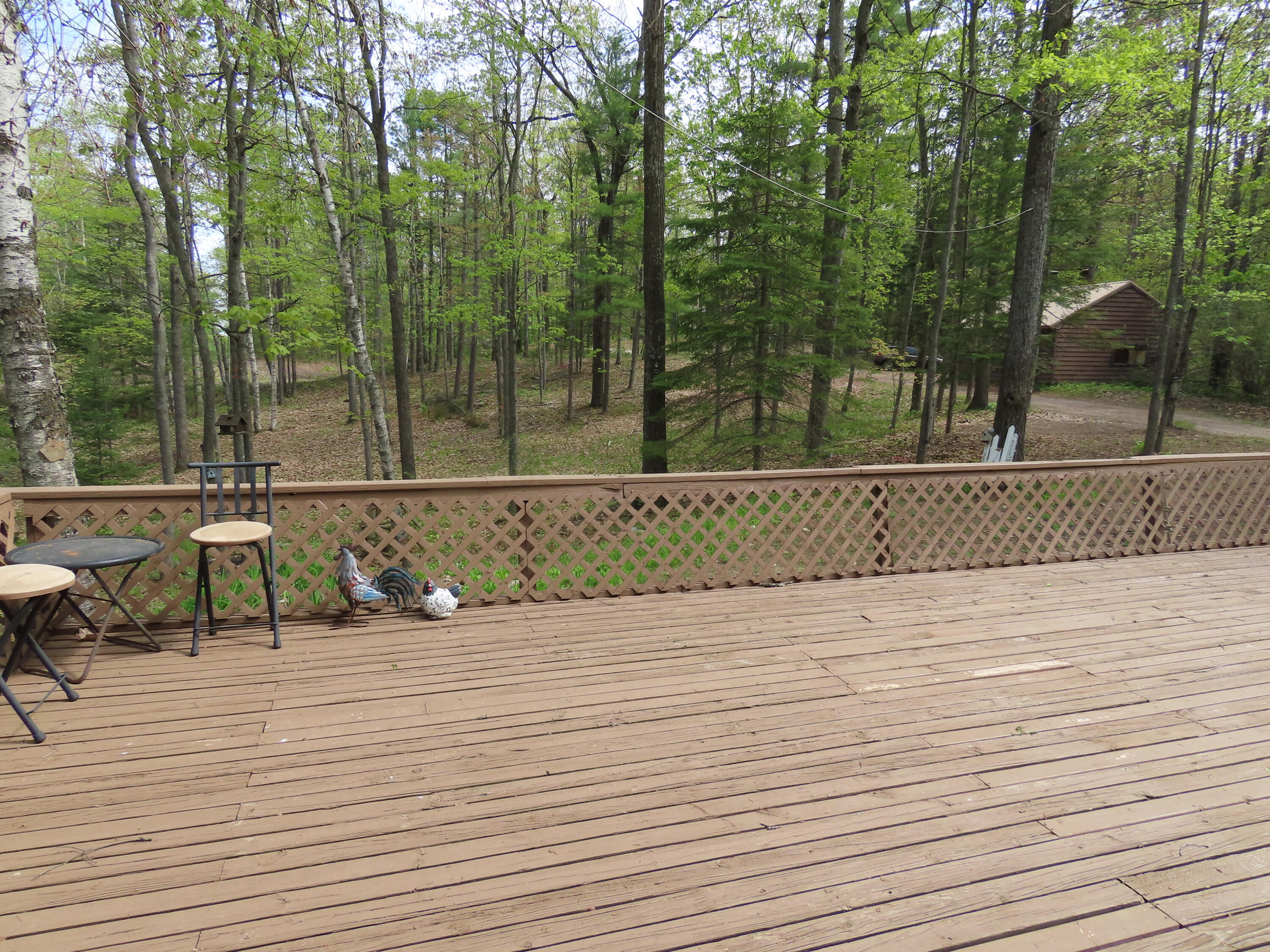 15709 Pleasant Valley Road Atlanta, MI 49709 - Photo 5 of 65 IMG_8811