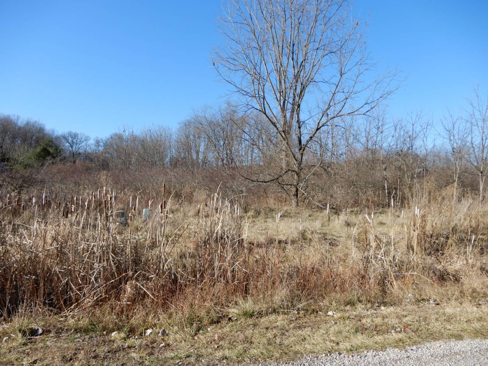0 North Ridge Heights Drive Howard, OH 43028 - Photo 1 of 3 2023-12-12 001 003